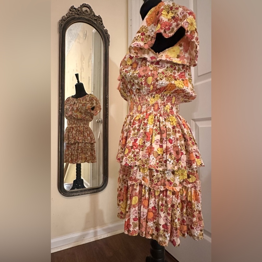 Anthropologie Patrons of Peace Floral Boho Ruffle Mini Dress โ Small - Picture 6 of 12